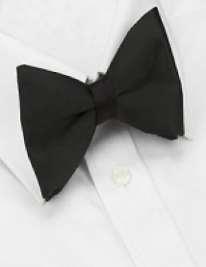 Pure Silk Pre-tied Bow Tie 17.00 €