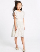 Marks and Spencer  Pure Cotton Lace Dress (3-16 Years)