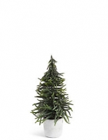 Marks and Spencer  Large Fir Tree