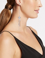 Marks and Spencer  Shoulder Duster Drop Earrings