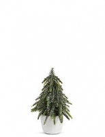 Marks and Spencer  Small Fir Tree