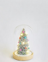 Marks and Spencer  Bristle Tree in Cloche