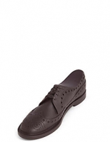 Marks and Spencer  Brogue Shoe - Pet Chew Toy