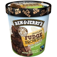 Centra  Ben & Jerrys Dairy Free Chocolate Fudge Brownie 500ml