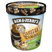 Centra  Ben & Jerrys Dairy Free Peanut Butter 500ml