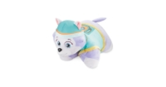 Aldi  Paw Patrol Everest Pillow Pet