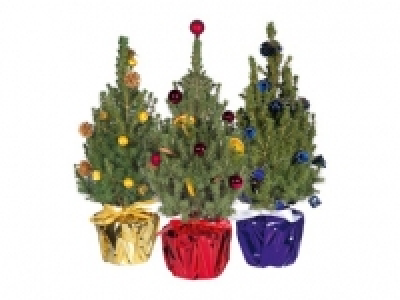 Decorated Christmas Tree 8.99 €