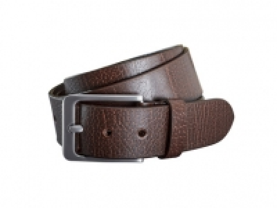 Lidl  LIVERGY Mens Belt