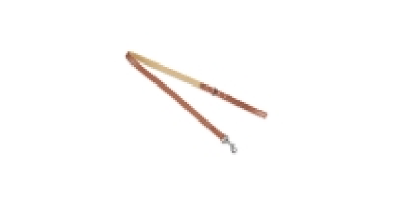 Pet Collection Leather Lead