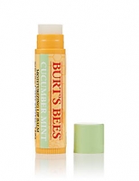 Marks and Spencer  Cucumber & Mint Lip Balm 4.25g