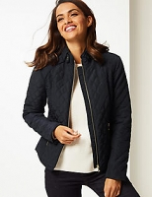 Padded Jacket 95.00 €