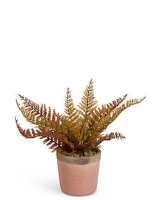Marks and Spencer  Small Fern in Crackle Pot
