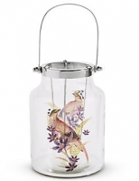 Marks and Spencer  Large Bird Decal Lantern