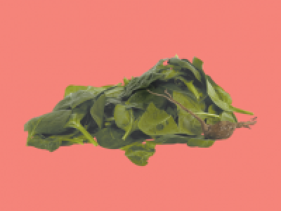 Baby Leaf Spinach 0.49 €