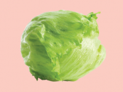 Iceberg Lettuce 0.49 €