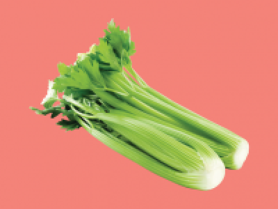 Celery 0.49 €