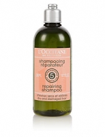 Marks and Spencer  Aromacologie Repairing Shampoo 300ml
