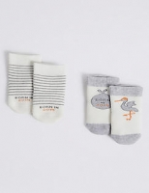 2 Pairs of Born in 2019 Baby Socks