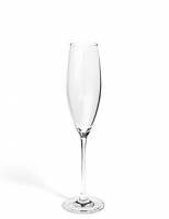 Marks and Spencer  The Sommeliers Edit Set of 4 Champagne Flutes