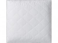 Lidl  Silverplus® Pillow