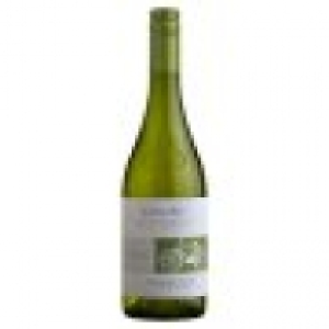 Cono Sur Bicicleta Sauvignon Blanc 75 8.00 €