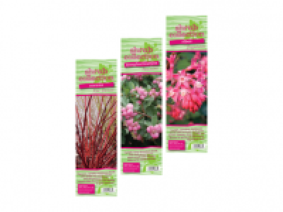 Single Pack Shrubs 3.79 €