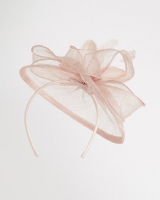 Dunnes Stores  Gallery Feather Fascinator