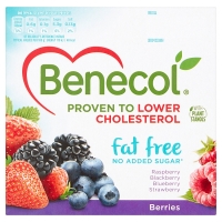 SuperValu  Benecol Yogurt Fat Free Forest Fruit 4 Pack