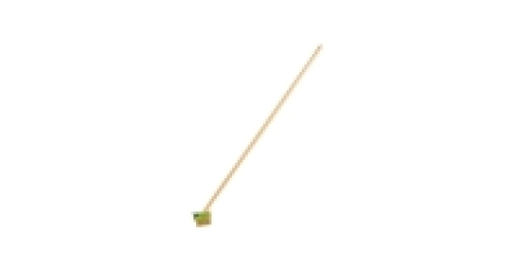 Gardenline Paving Brush 3.99 €