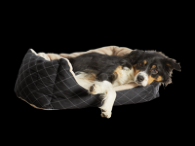 Dog Bed 17.99 €