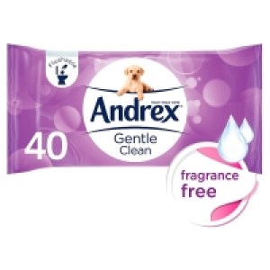 Andrex Moist Gentle Clean Washlets 40 Sheet 2.00 €