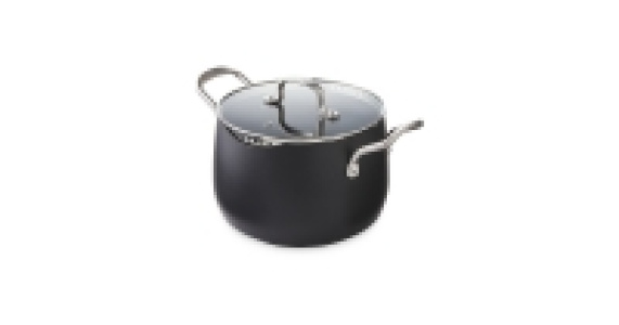 Professional Stockpot with Lid.