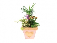 Lidl  Mothers Day Heart Planter