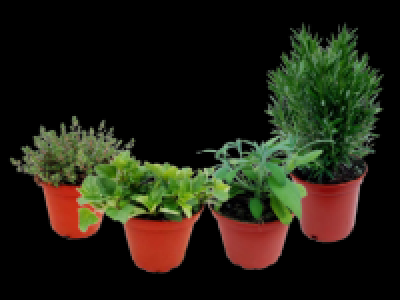 Italian Herbs 2.99 €
