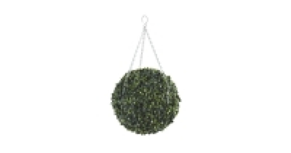 Aldi  Gardenline Boxwood Topiary Ball