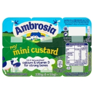 SuperValu  Ambrosia Mini Custard