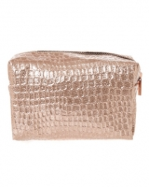 Dunnes Stores  Shine Make Up Bag