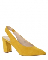 Dunnes Stores  Point Slingback Shoes