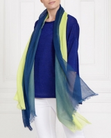 Dunnes Stores  Gallery Ombre Scarf