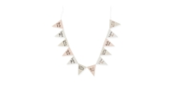 Party Banner/Bunting