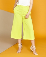 Dunnes Stores  Lennon Courtney at Dunnes Stores Lime Culottes