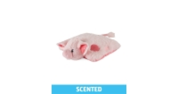 Aldi  Bubble Gum Scented Pillow Pet