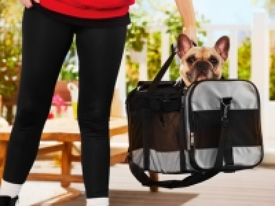 Pet Carrier 13.99 €
