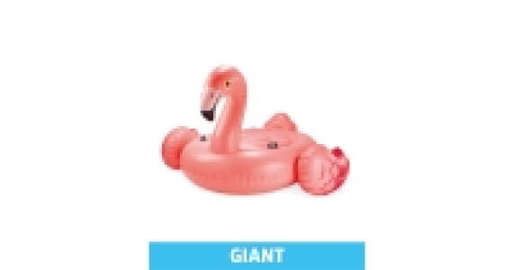 Giant Ride-On Inflatable Flamingo