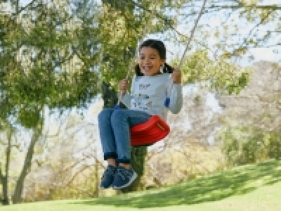 Board Swing