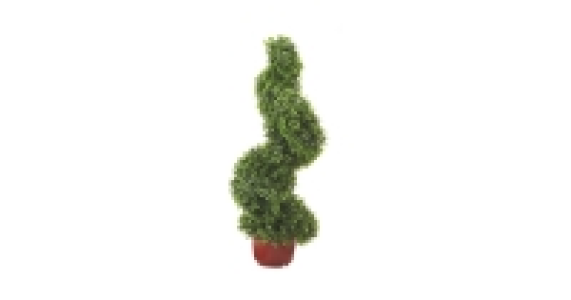 Boxwood Topiary Spiral 39.99 €