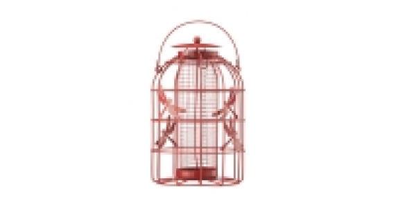 Dragonfly Peanut Feeder