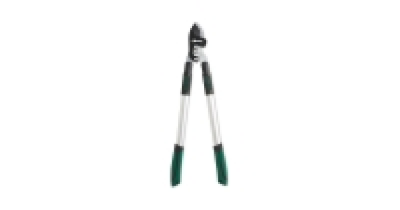Telescopic Lopping Shears