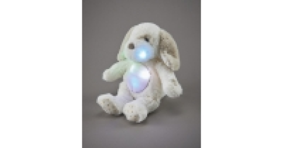 Aldi  Dog Musical Light Up Plush Toy