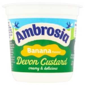Ambrosia Banana Custard Pot